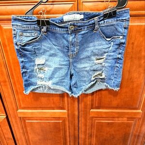 Torrid Med-Wash Cuff Off Jean Shorts #502